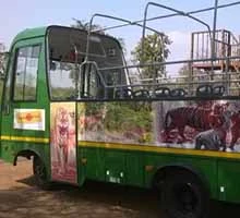 tadoba national park, tadoba andhari national park