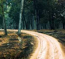 tadoba national park, tadoba andhari national park